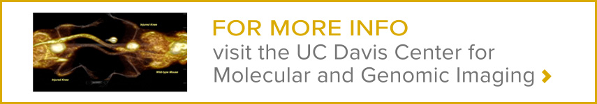 visit the UC Davis Center for Molecular and Genomic Imaging
