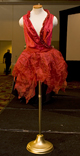 Photo of winning dress design © UC Regents