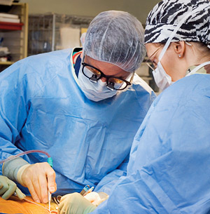 Vascular surgeons © UC Regents