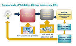 Clinical Investigational Lab