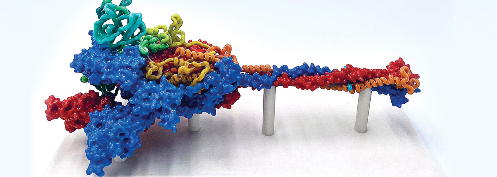 A 3D-printed SARS-CoV-2 spike glycoprotein model