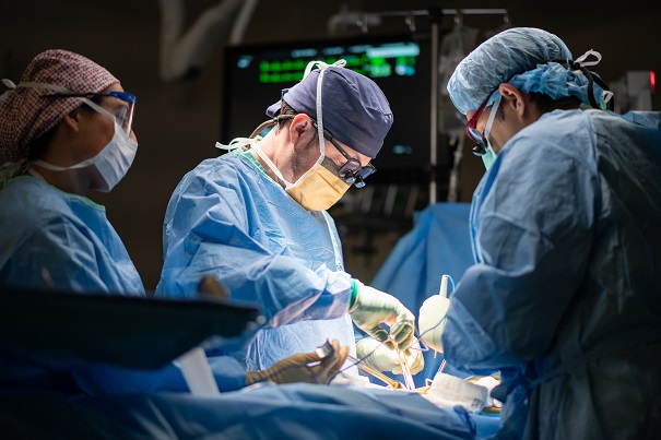 Physician performing living kidney transplant surgery