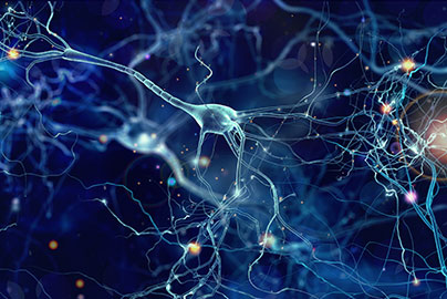 Dark blue neuron cells under digital microscope, blue cells and vessels