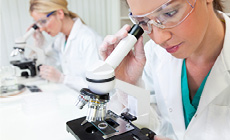 Medical researchers in lab