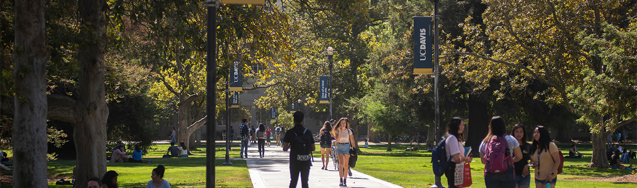 students walking to class on uc davis campus