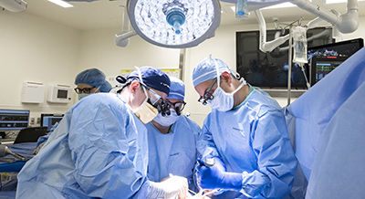 Surgeons performing liver transplant surgery