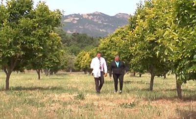 A man and woman walking between two rows of trees. Man is wearing a white shirt, necktie and a dark pants. Woman is wearing a black jacket and black pants. There is a mountain range in the background.