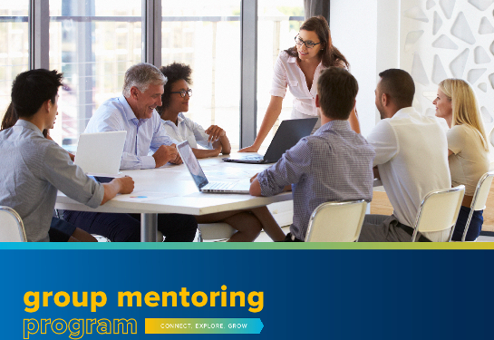 group mentoring program