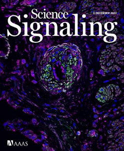 Science signaling magazine cover page