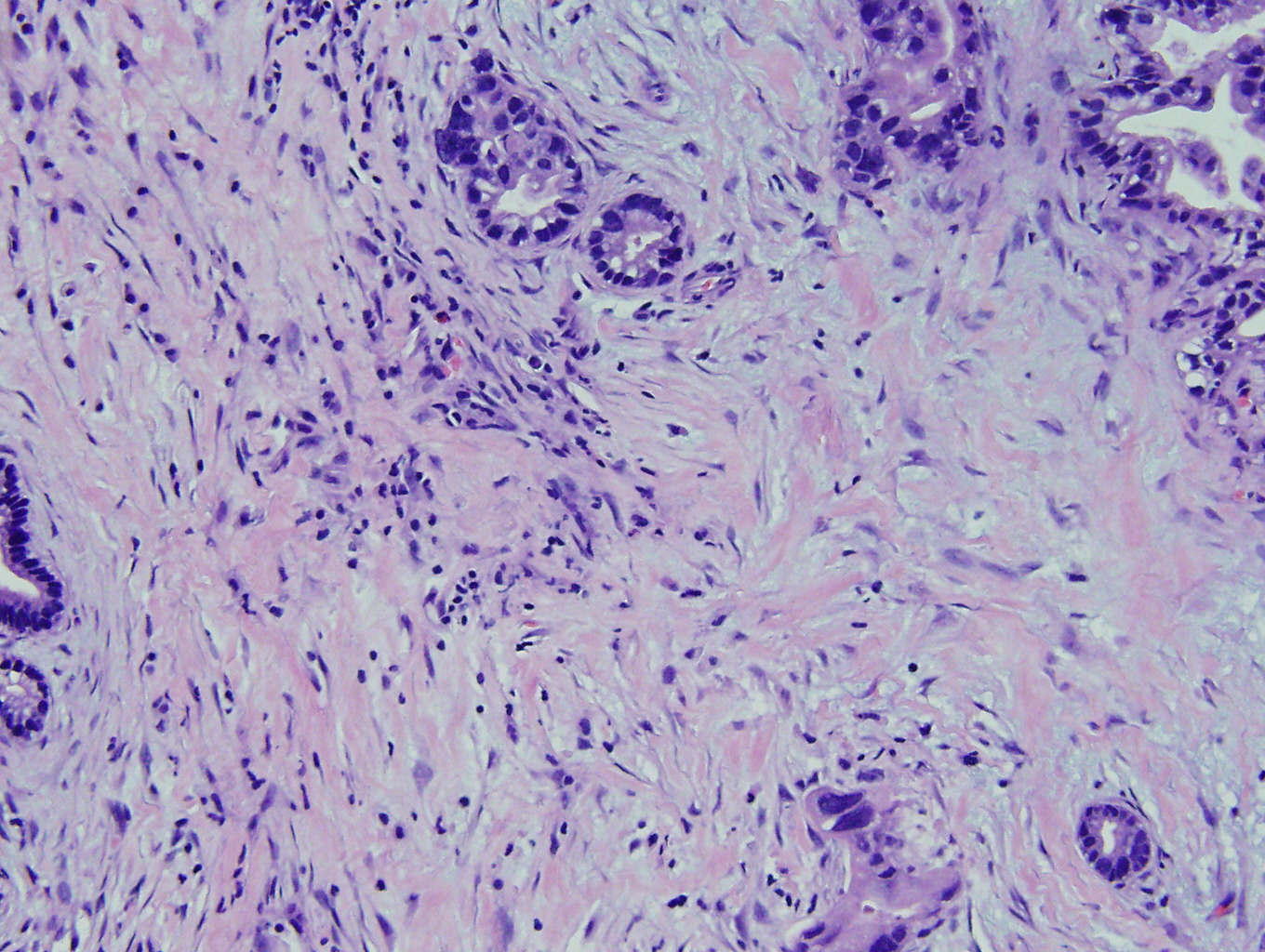 Case of the Month, Mar. 2013: Figure 3