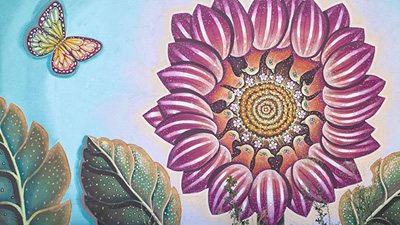 Sacramento mural, pink flower and butterflies on wall