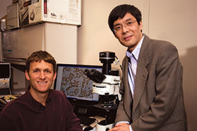 UC Davis researchers zero in on molecular targets