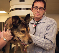 PHOTO — Michael Kent and patient. Copyright 2010 UC Regents.